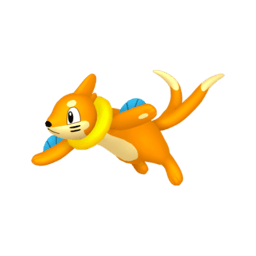Buizel