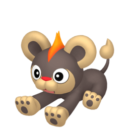 Litleo