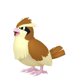 Pidgey
