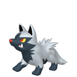 Poochyena