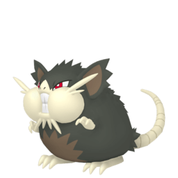 Raticate (Alolan)