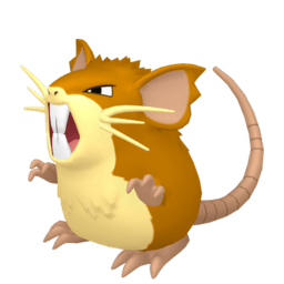 Raticate