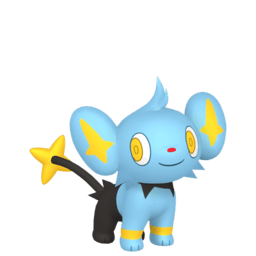 Shinx
