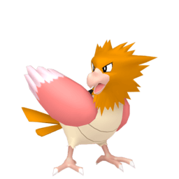 Spearow