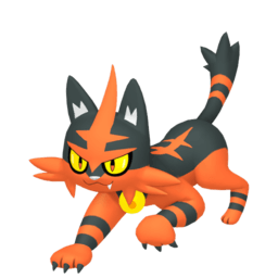 Torracat