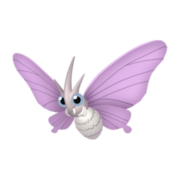 Venomoth