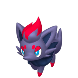Zorua