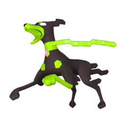 Zygarde (10%)